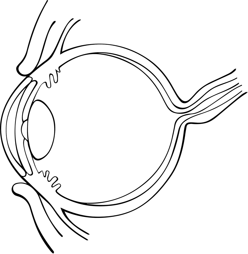 Desenho de Geral para colorir