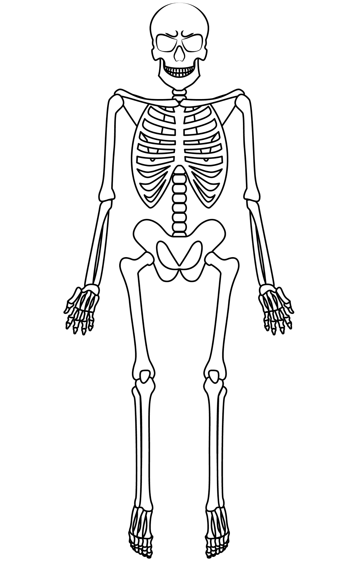 Desenho de Geral para colorir