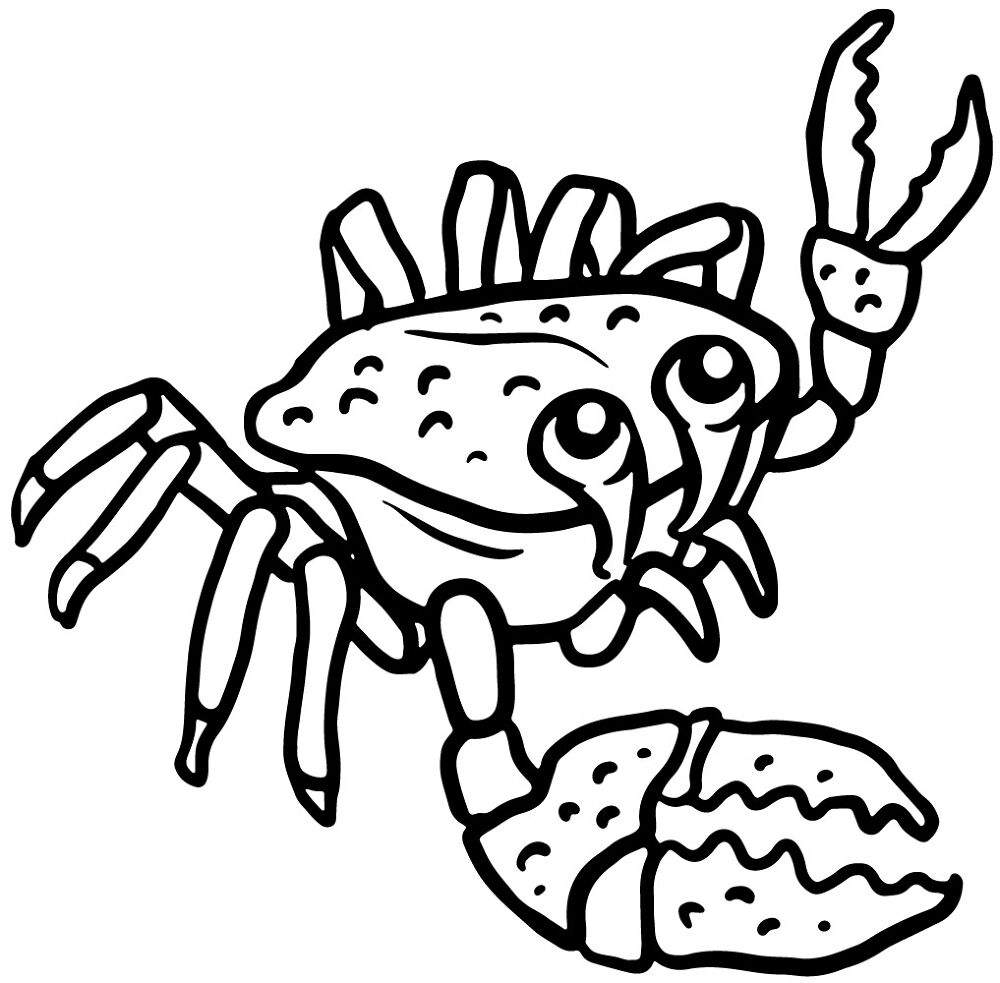 Desenho de Geral para colorir