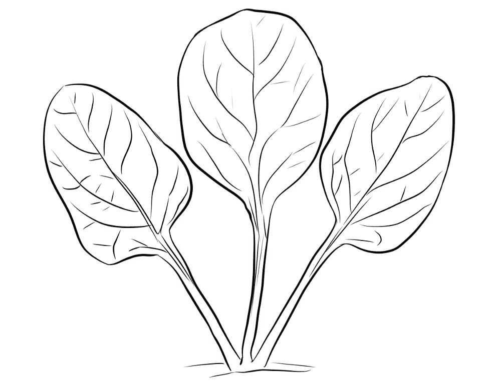 Desenho de Geral para colorir