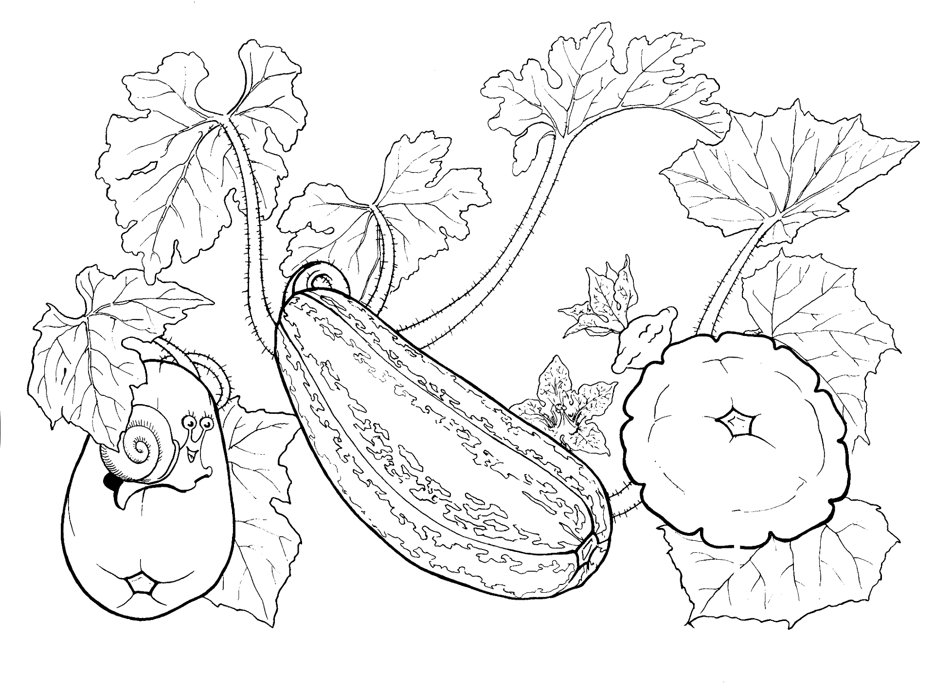 Desenho de Geral para colorir