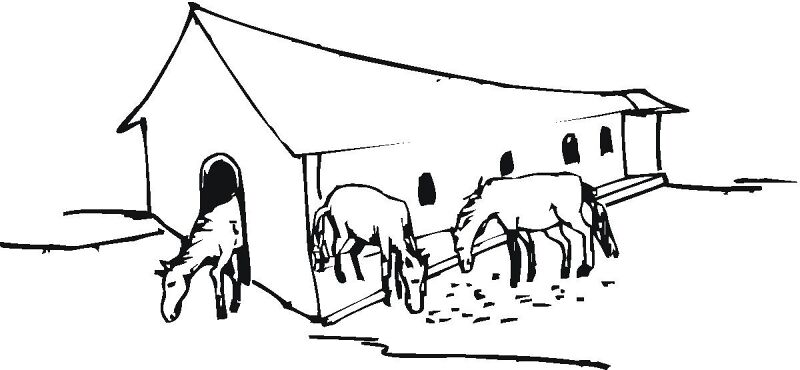 Desenho de Geral para colorir