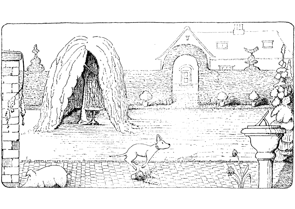Desenho de Geral para colorir
