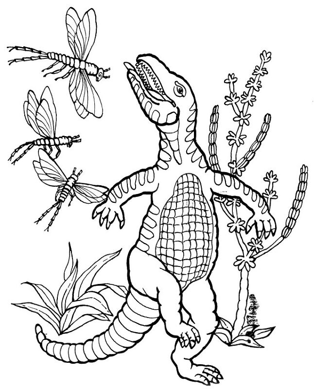 Desenho de Geral para colorir