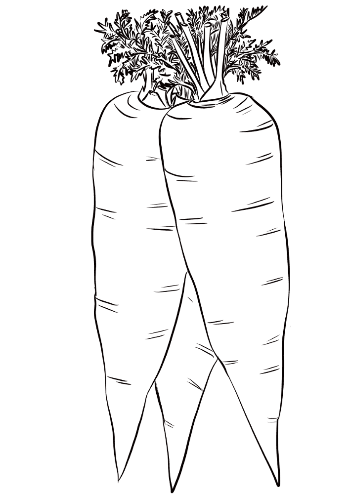 Desenho de Geral para colorir