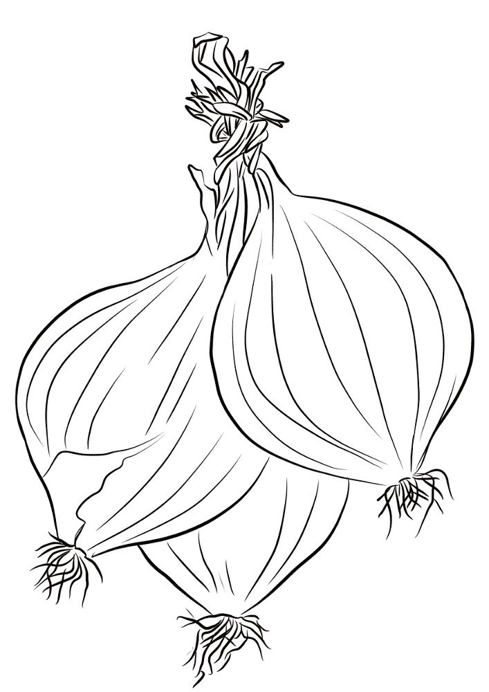 Desenho de Geral para colorir