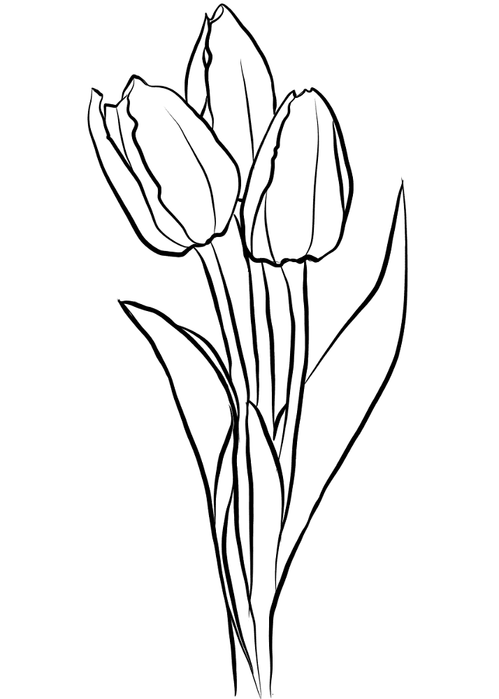 Desenho de Geral para colorir