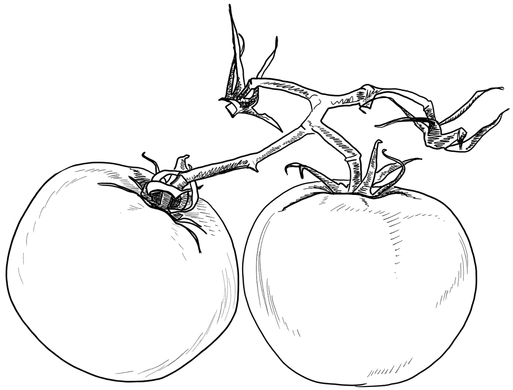 Desenho de Geral para colorir