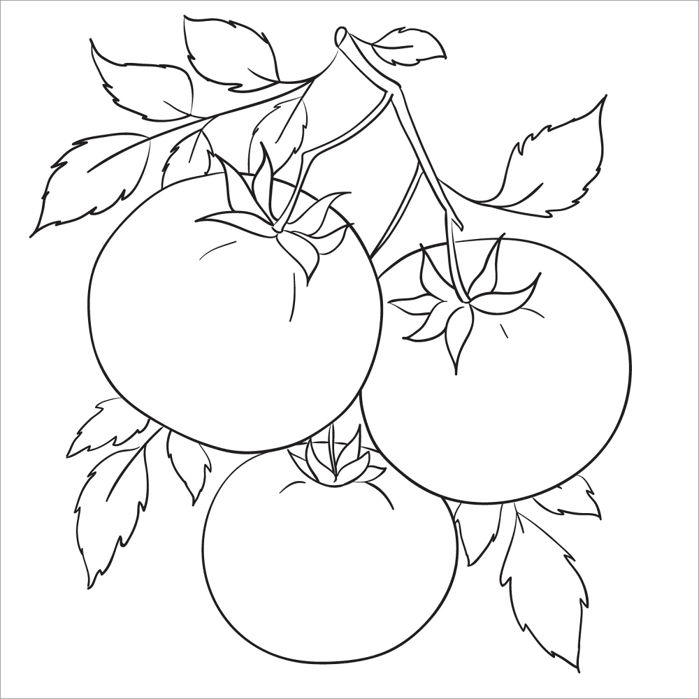 Desenho de Geral para colorir