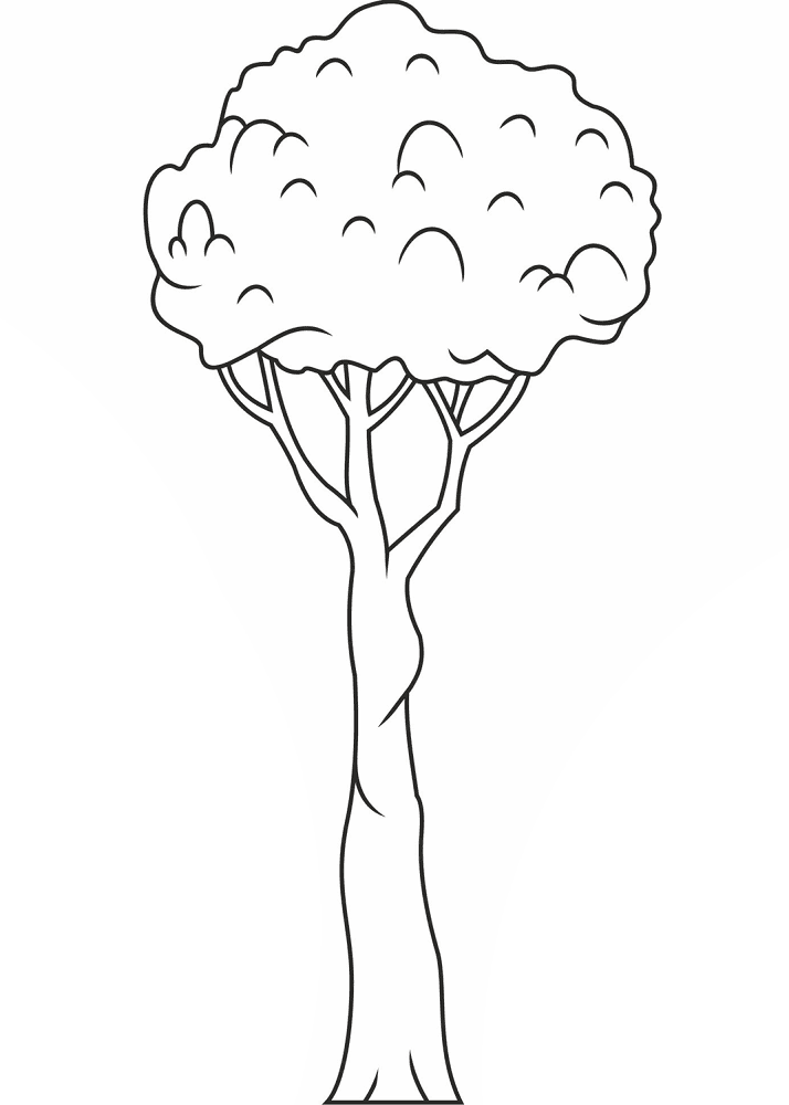 Desenho de Geral para colorir