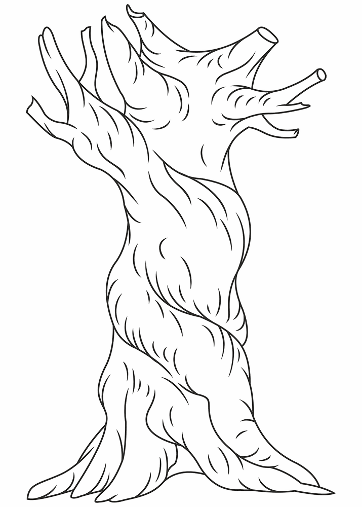 Desenho de Geral para colorir