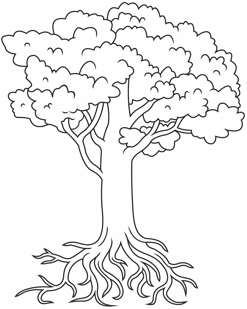 Desenho de Geral para colorir