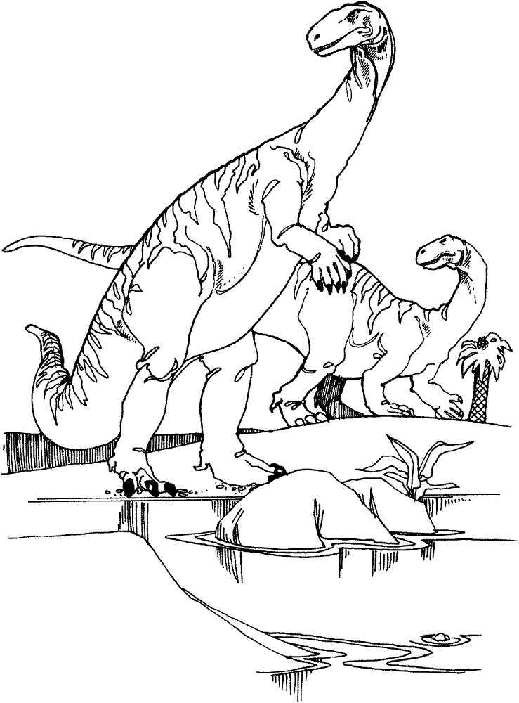 Desenho de Geral para colorir