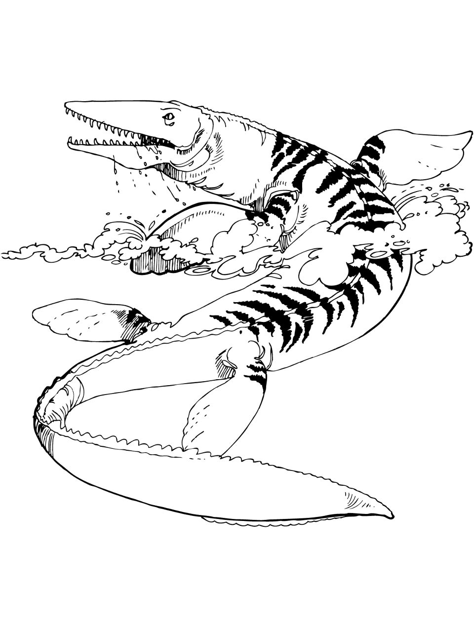 Desenho de Geral para colorir