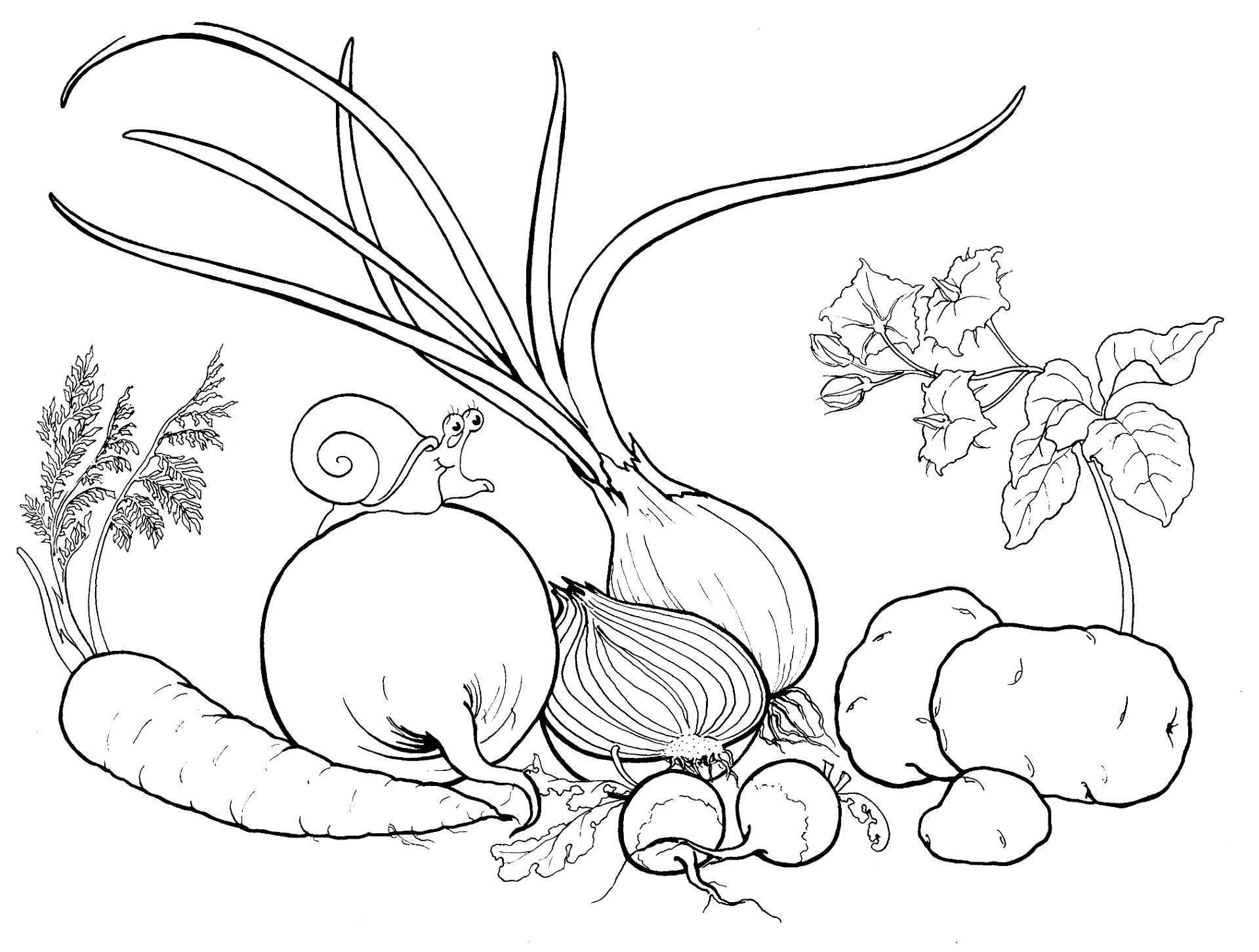 Desenho de Geral para colorir