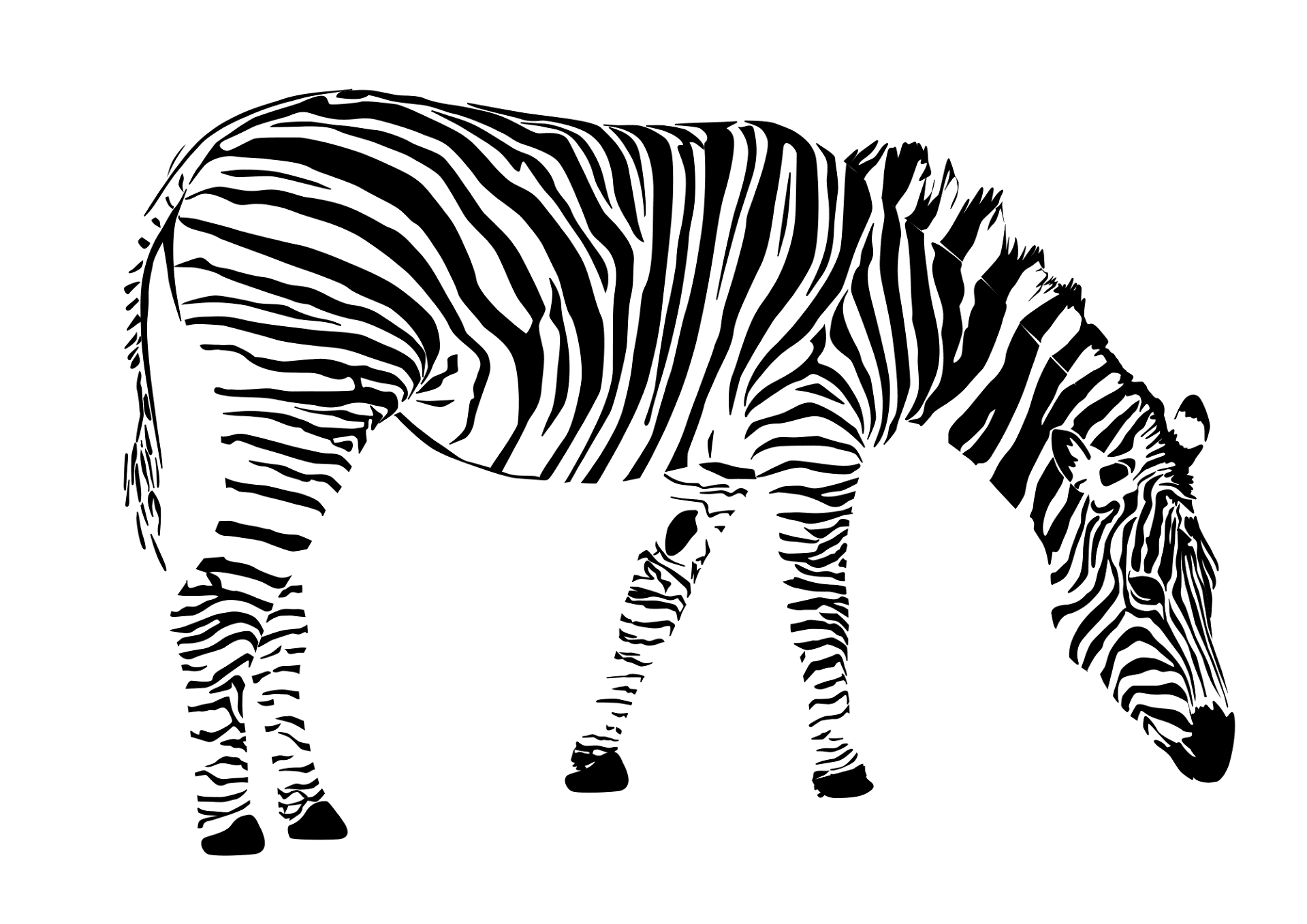 Desenho de Geral para colorir