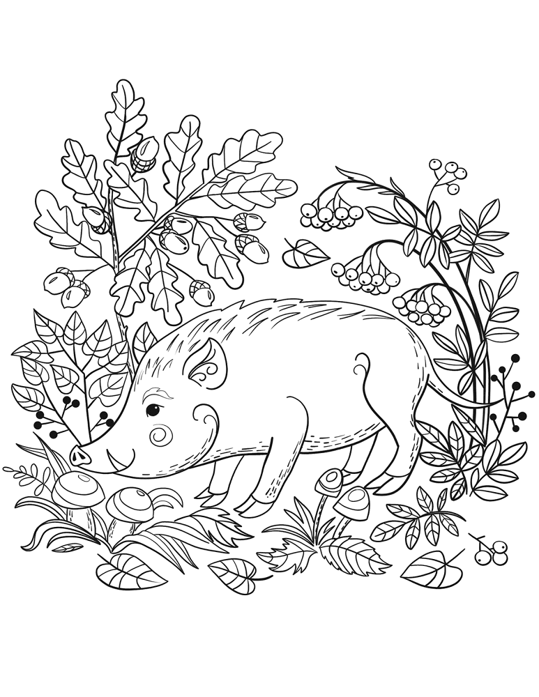 Desenho de Geral para colorir