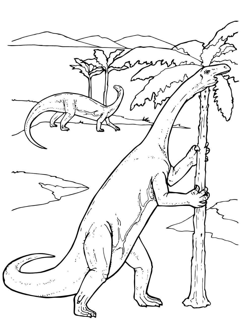 Desenho de Geral para colorir