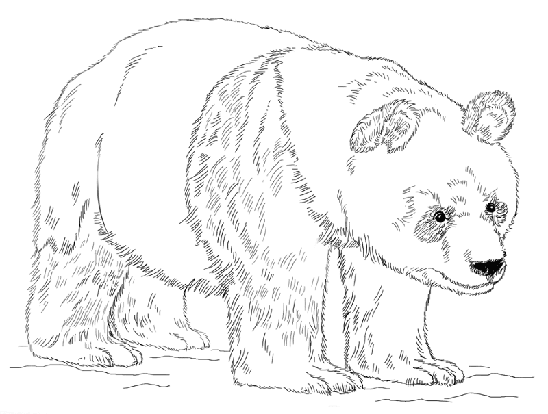 Desenho de Gigante para colorir e imprimir: número 4