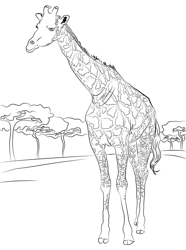 Desenho de Gigante para colorir e imprimir: número 5