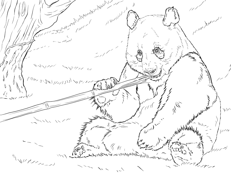 Desenho de Gigante para colorir e imprimir: número 10