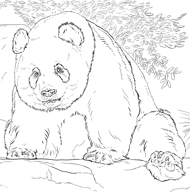 Desenho de Gigante para colorir e imprimir: número 12