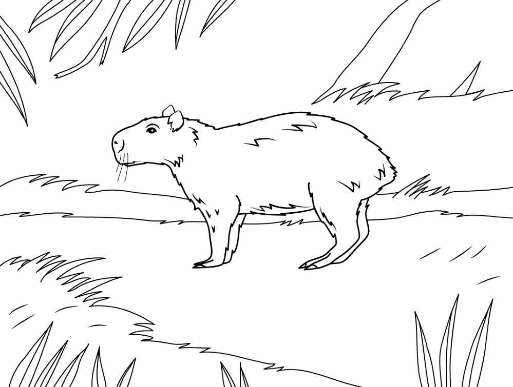 Desenho de Gigante para colorir e imprimir: número 14