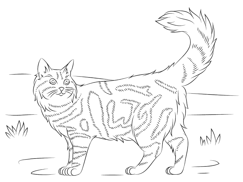 Desenho de Gigante para colorir e imprimir: número 15