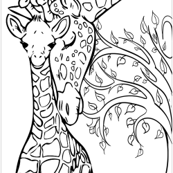 Desenho de Girafas para colorir e imprimir: número 12