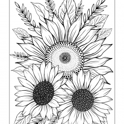 Desenho de Girassol para colorir e imprimir: número 10
