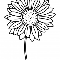 Desenho de Girassol para colorir e imprimir: número 15