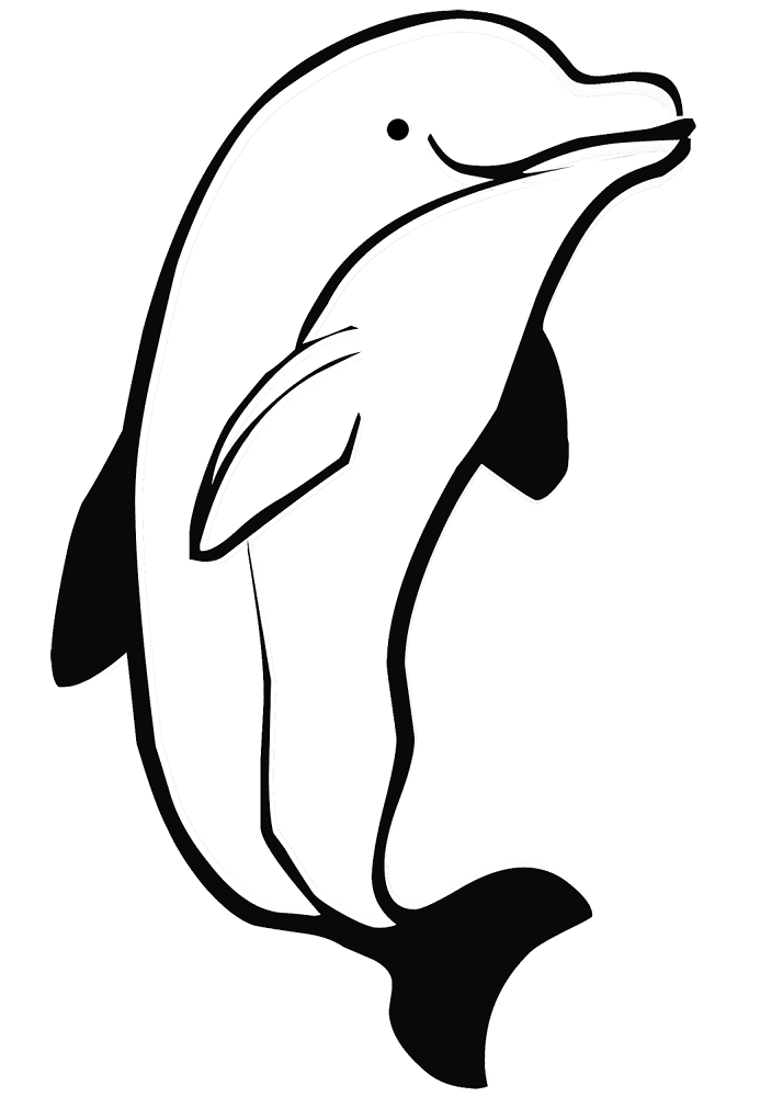 Desenho de Golfinhos para colorir e imprimir: número 5