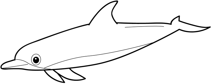 Desenho de Golfinhos para colorir e imprimir: número 8