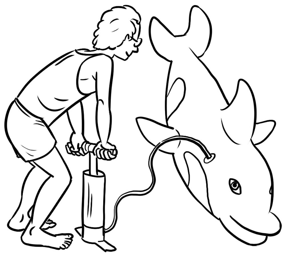 Desenho de Golfinhos para colorir e imprimir: número 12