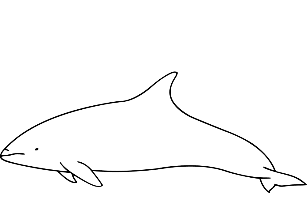 Desenho de Golfinhos para colorir e imprimir: número 18