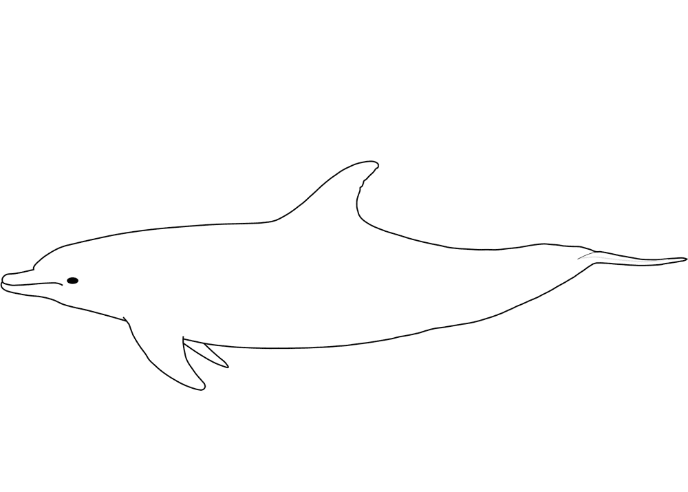 Desenho de Golfinhos para colorir e imprimir: número 21