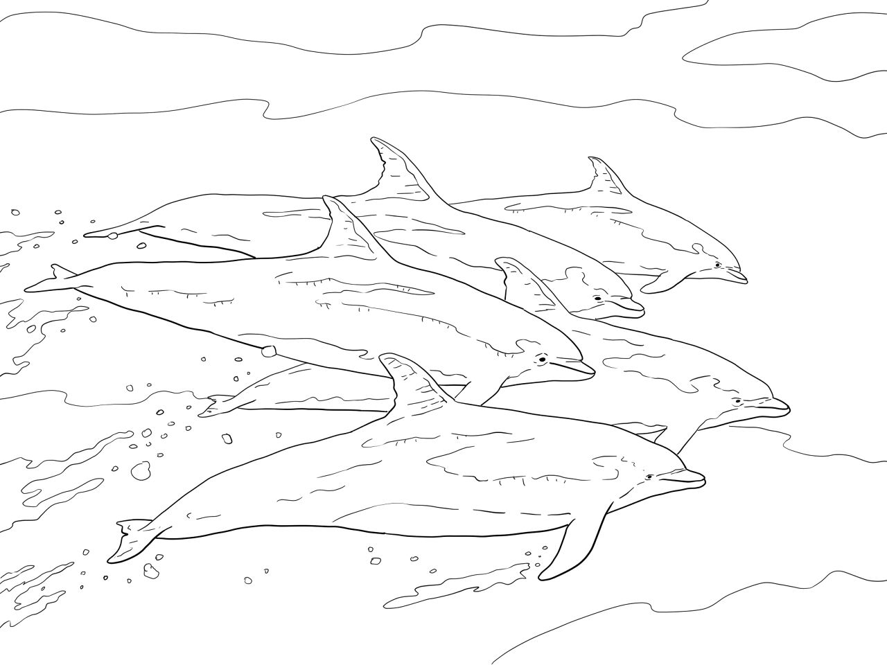 Desenho de Golfinhos para colorir e imprimir: número 23