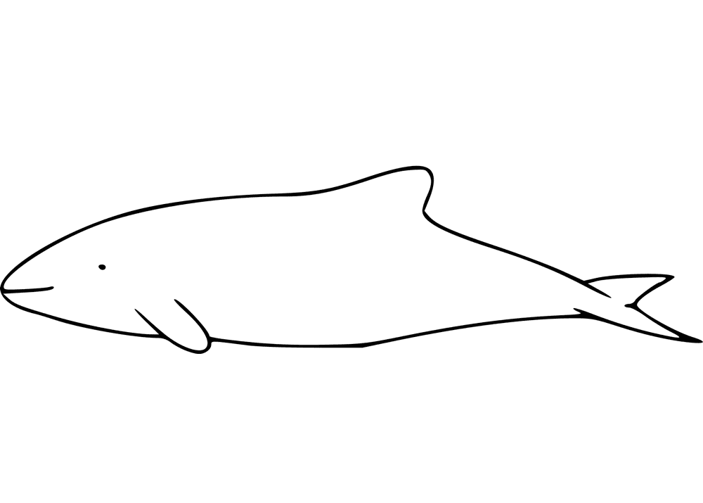 Desenho de Golfinhos para colorir e imprimir: número 24