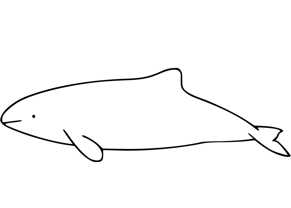 Desenho de Golfinhos para colorir e imprimir: número 25