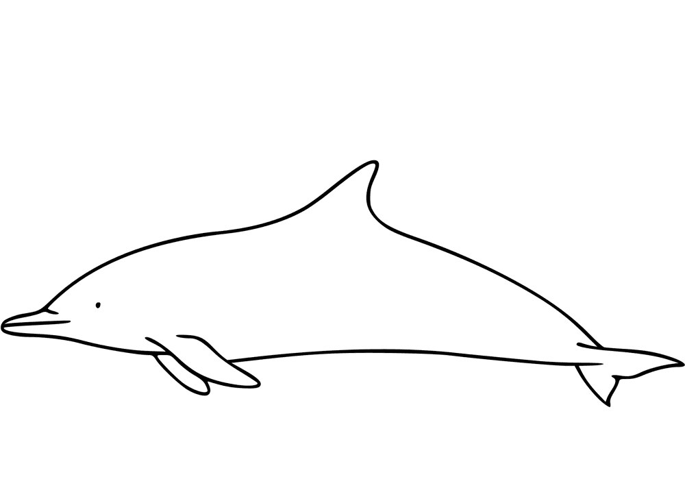 Desenho de Golfinhos para colorir e imprimir: número 26