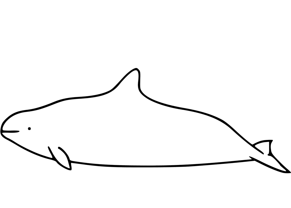 Desenho de Golfinhos para colorir e imprimir: número 29