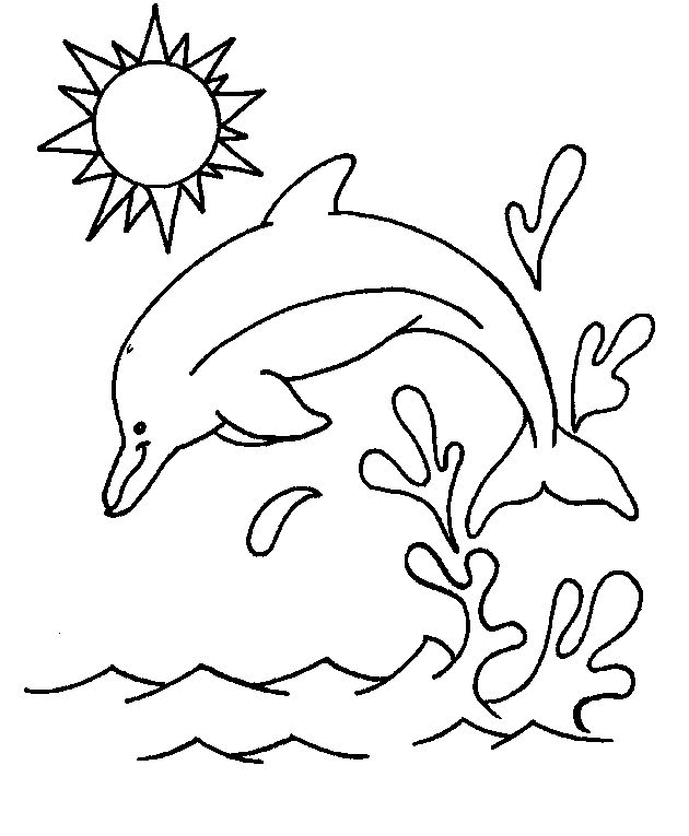 Desenho de Golfinhos para colorir e imprimir: número 31
