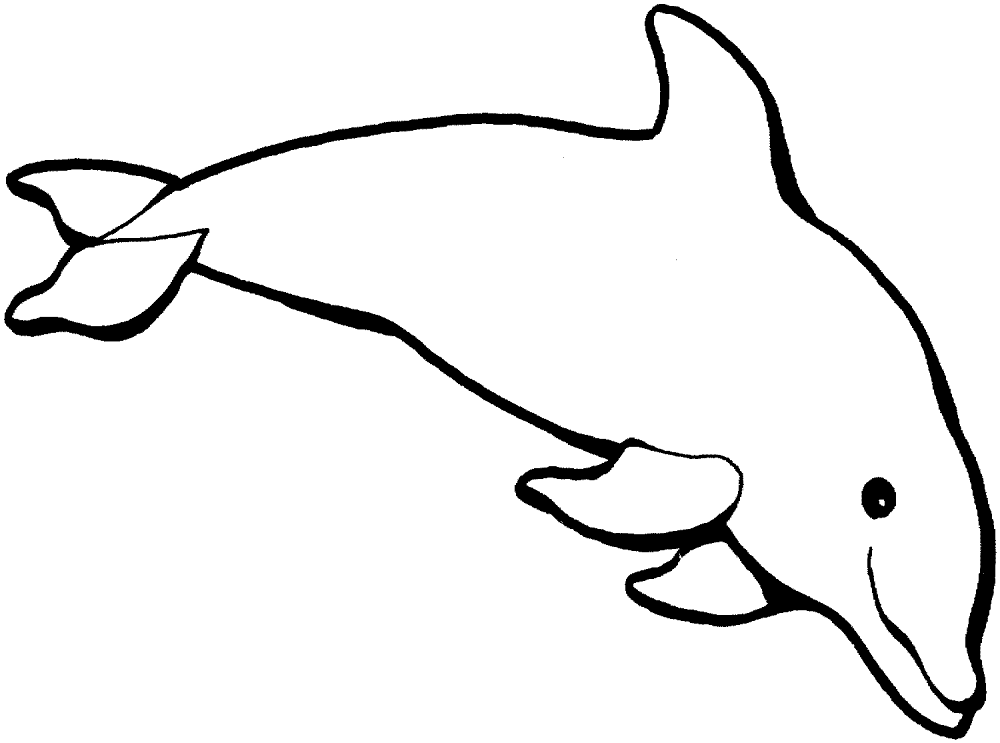 Desenho de Golfinhos para colorir e imprimir: número 32