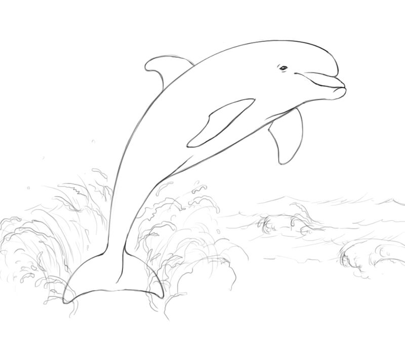 Desenho de Golfinhos para colorir e imprimir: número 46