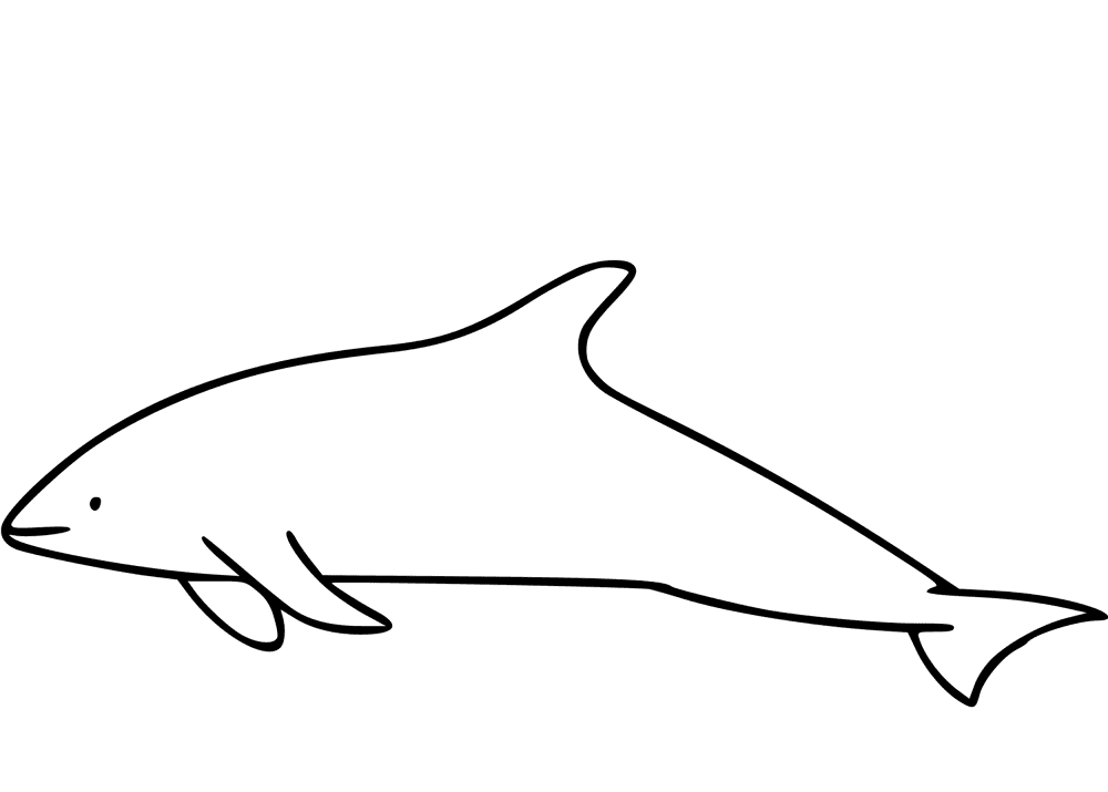 Desenho de Golfinhos para colorir