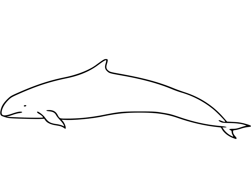 Desenho de Golfinhos para colorir