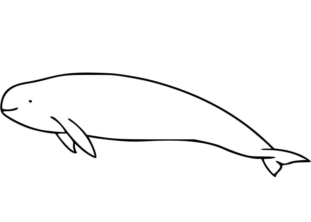 Desenho de Golfinhos para colorir