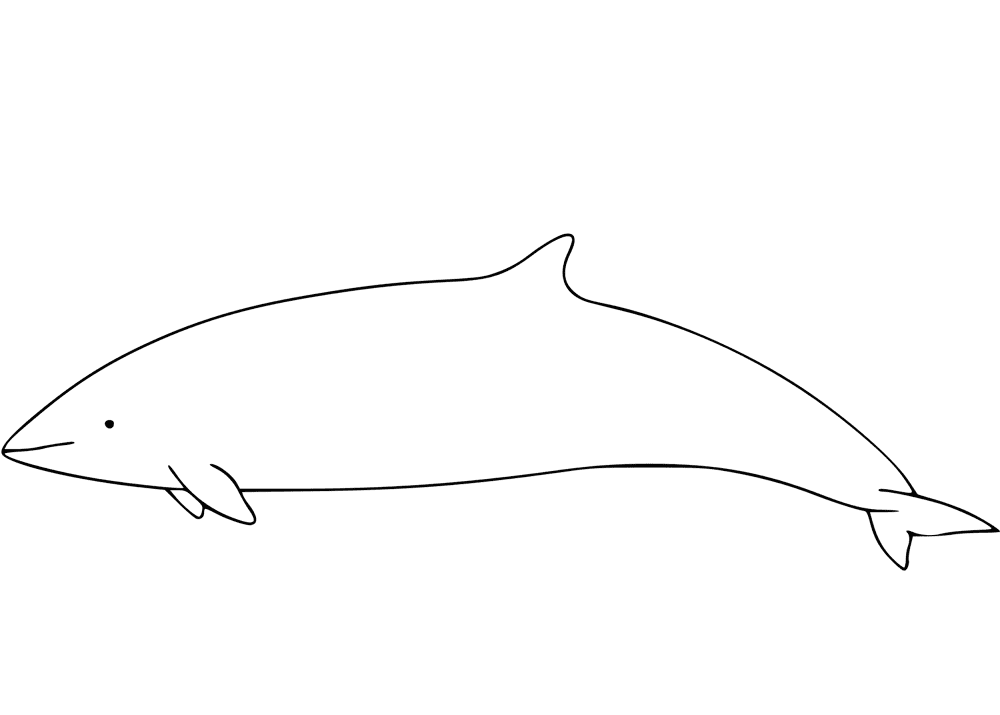 Desenho de Golfinhos para colorir