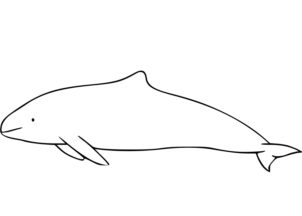 Desenho de Golfinhos para colorir