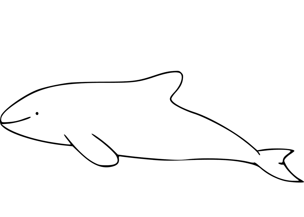 Desenho de Golfinhos para colorir